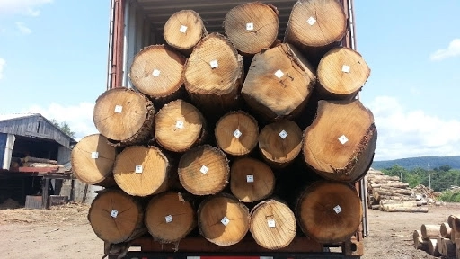 Gỗ sồi dễ bị co ngót khi gặp nhiệt độ cao 