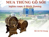 Nơi Bán Thùng Rượu Gỗ Sồi Tại Bình Dương Giá Rẻ Nhất
